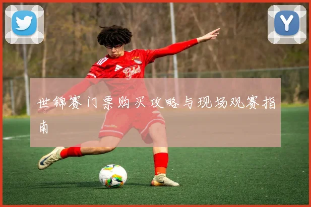 世锦赛门票购买攻略与现场观赛指南