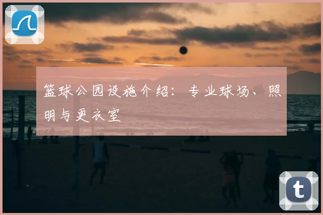 篮球公园设施介绍:专业球场、照明与更衣室